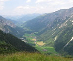 s_habicht1