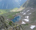 s_habicht32
